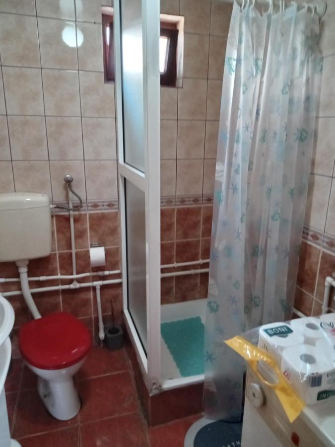 Planinska Kuca Dusan ミトロバツ エクステリア 写真