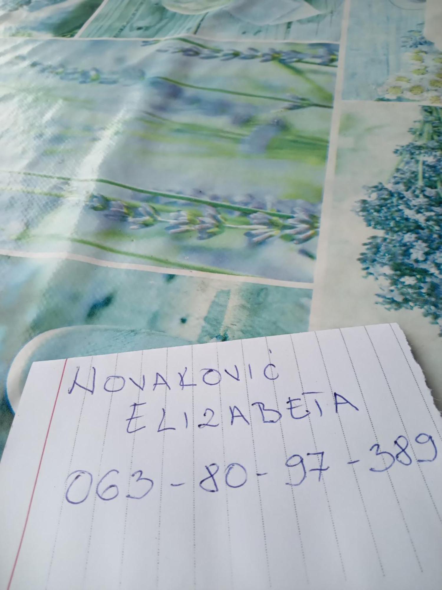 Planinska Kuca Dusan ミトロバツ エクステリア 写真